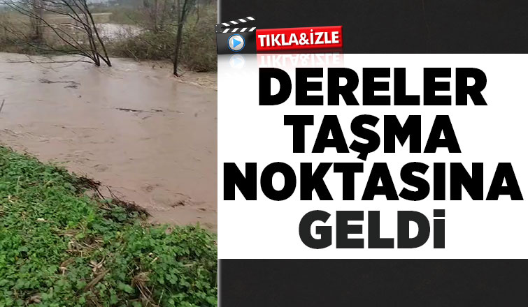 Akyazıda şiddetli yağış dereler taşma noktasına geldi