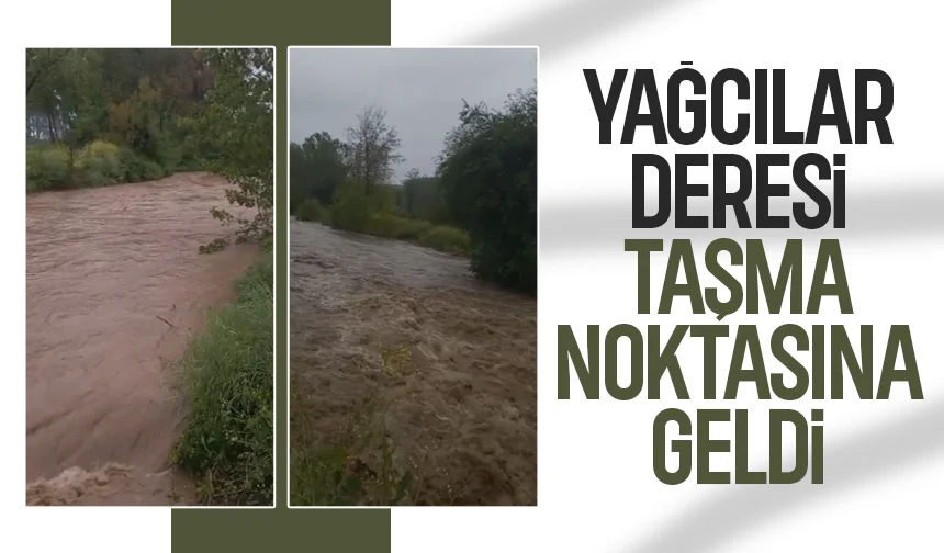 Akyazı'da şiddetli yağış; Yağcılar Deresi taşma noktasında