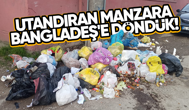 Akyazıda sokak çöplüğe döndü