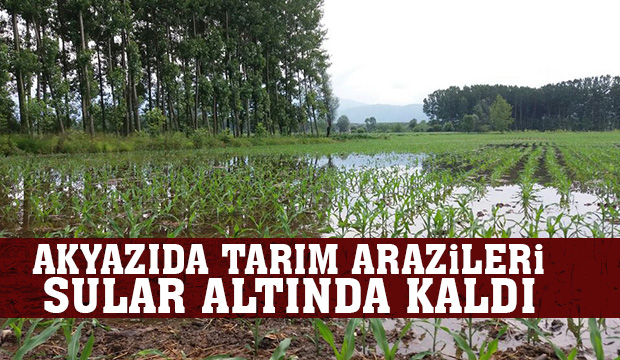Akyazıda Tarım Arazileri Sular Altında Kaldı