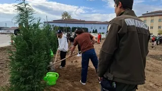 Akyazı’da Yeşil Vatan Seferberliği: 400 Fidan Toprakla Buluştu