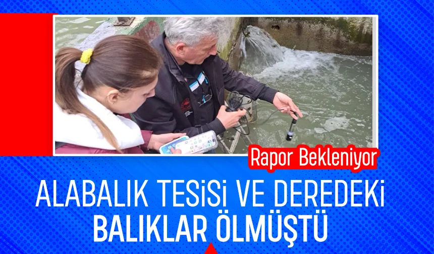 Akyazı'daki çevre felaketinde analiz sonucu bekleniyor