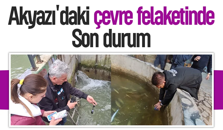 Akyazı'daki çevre felaketinde gözler raporda