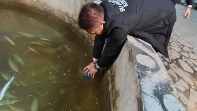 Akyazı'daki çevre felaketinde rapor bekleniyor