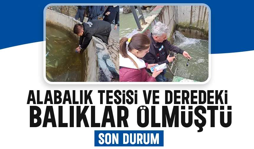 Akyazı'daki çevre felaketinde rapor bekleniyor