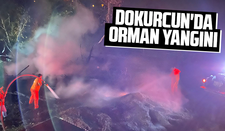 Akyazıdaki orman yangını büyümeden söndürüldü