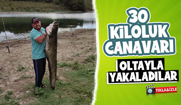 Akyazılı balıkçılar 30 kiloluk dev yayın yakaladı