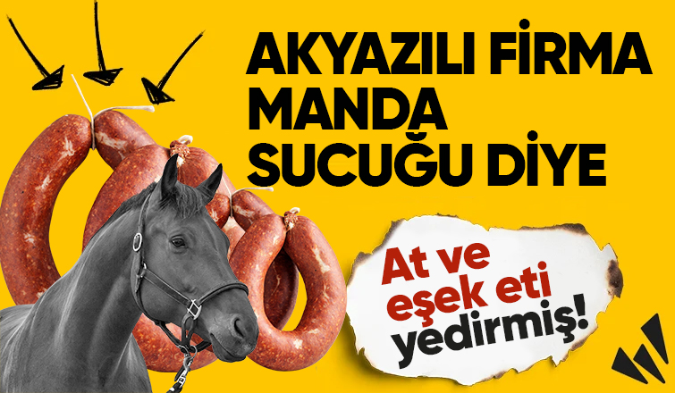 Akyazılı firmanın manda sucuğundan at ve eşek eti çıktı
