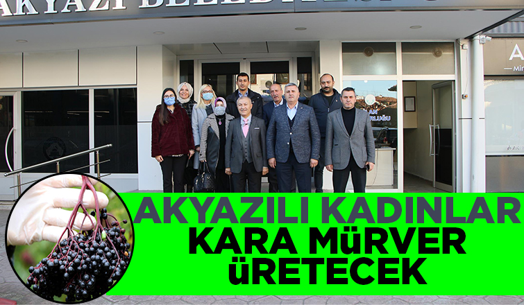 Akyazılı kadınlar Kara Mürver üretecek