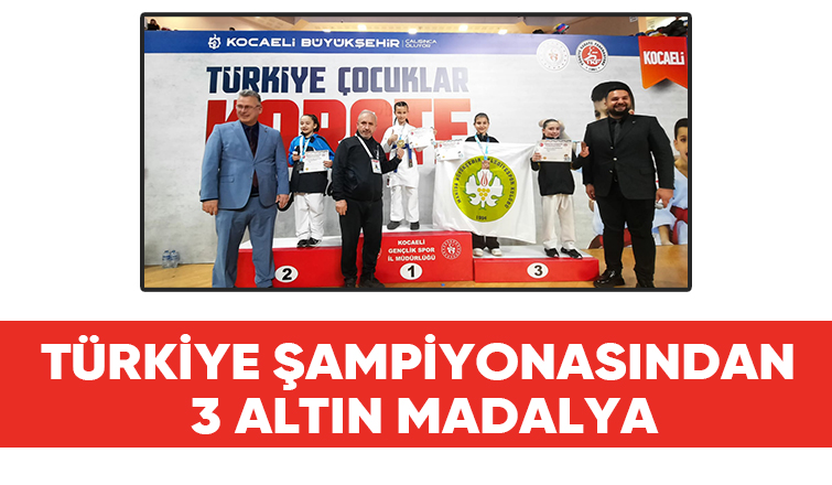 Akyazılı karatecilerden 3 altın madalya