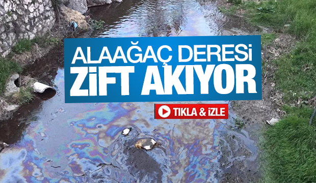  Alaağaç Deresi Zift Akıyor