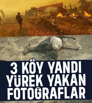 Alevler 3 köyü yuttu; Yürek yakan kareler
