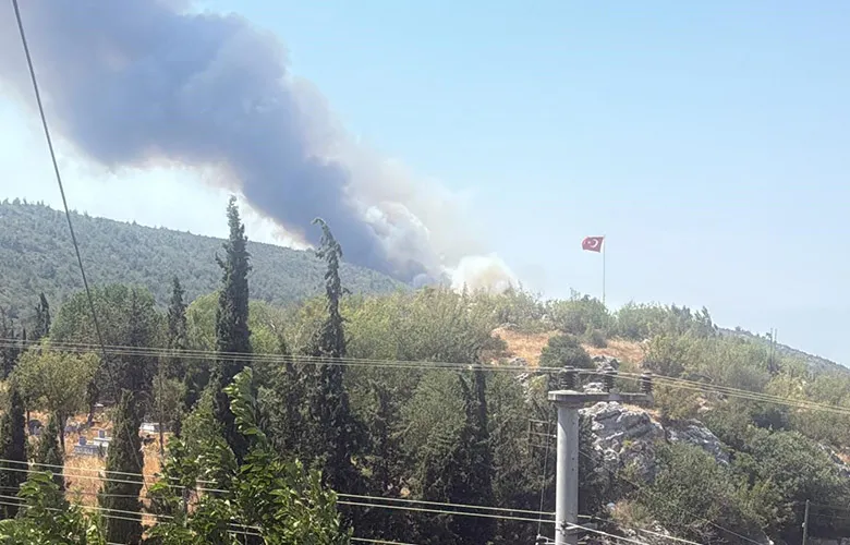 Alevler tavuk çiftliklerine dayandı
