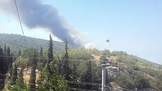 Alevler tavuk çiftliklerine dayandı