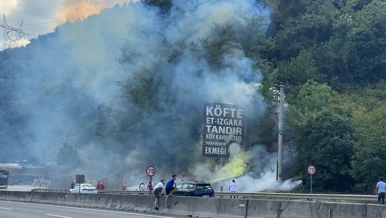 Alevleri ormana ulaşmadan söndürdüler