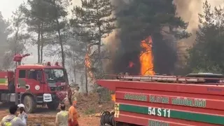 Alevlerin arasında kalan ormancıların yaşadığı dehşet anları kamerada