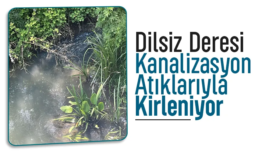 Altındere ve Çamlıca’nın pis suları o dereye akıyor