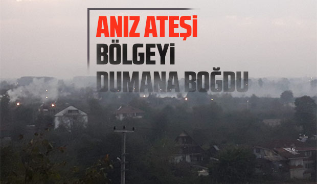 Anız ateşi dumana boğdu