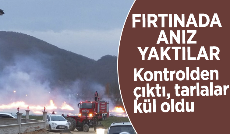 Anız ateşi kontrolden çıktı, tarlalar zarar gördü