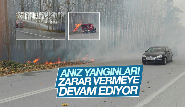 ANIZ YANGINLARI ZARAR VERMEYE DEVAM EDİYOR