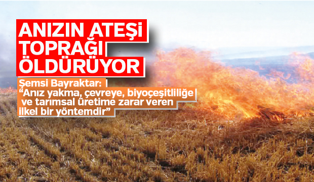 Anızın ateşi toprağı öldürüyor