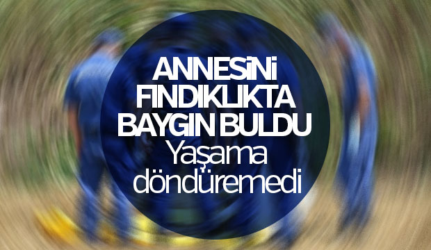 Annesini fındıklıkta baygın buldu