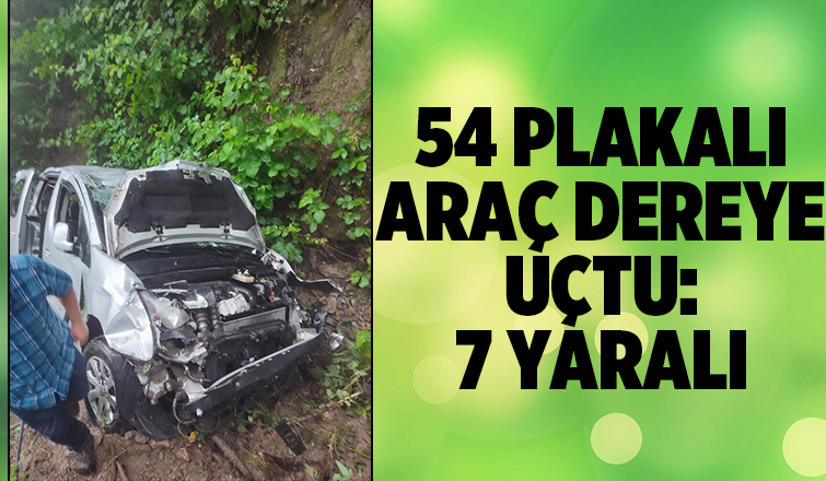 Araç dereye uçtu: 7 yaralı