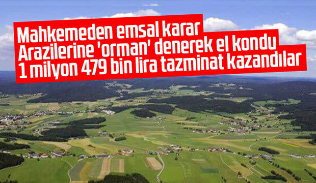 Arazilerine orman denerek el kondu 1 milyon 479 bin lira tazminat kazandılar