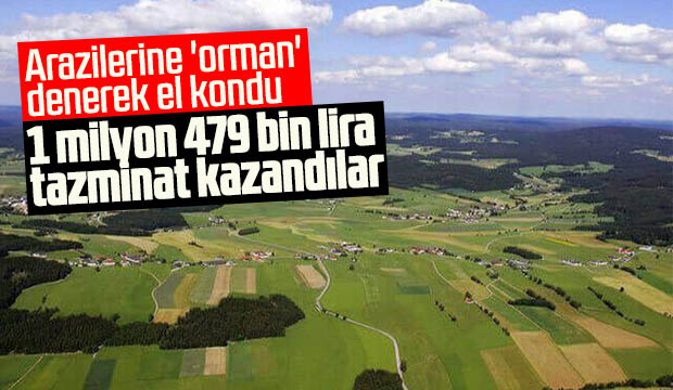 Arazilerine orman denerek el kondu