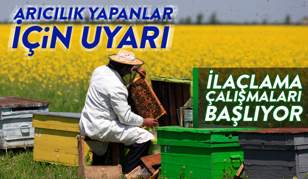 ARICILIK YAPANLAR İÇİN UYARI!  İLAÇLAMA ÇALIŞMALARI BAŞLIYOR