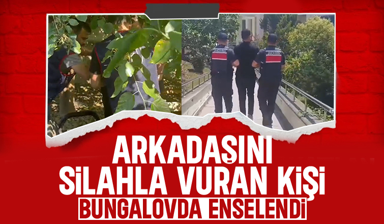 Arkadaşını vurmuştu, jandarmadan kaçamadı