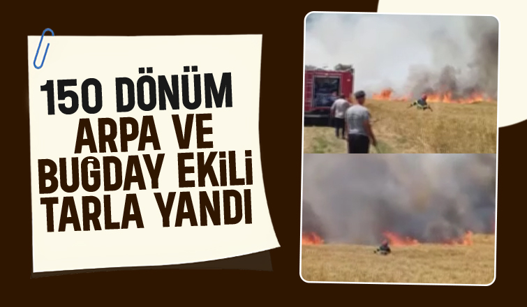 Arpa ve buğday tarlası yandı