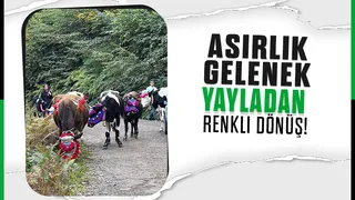 Asırlık gelenek; Hayvanlarını süsleyip dönüyorlar