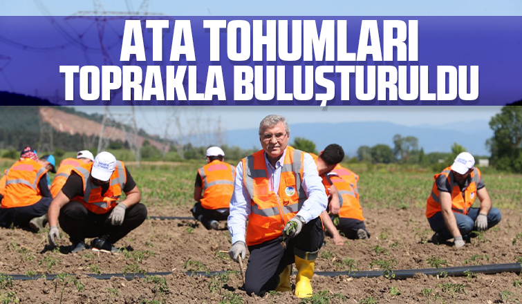 Ata Tohumları toprakla buluşturuldu