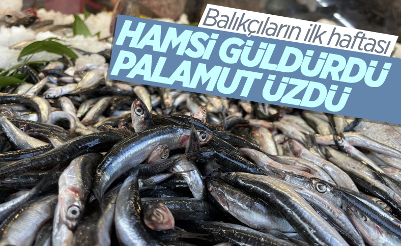 Av mevsiminin ilk haftasında hamsi bereketi