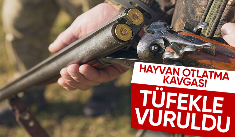 Av tüfeği ile vuruldu