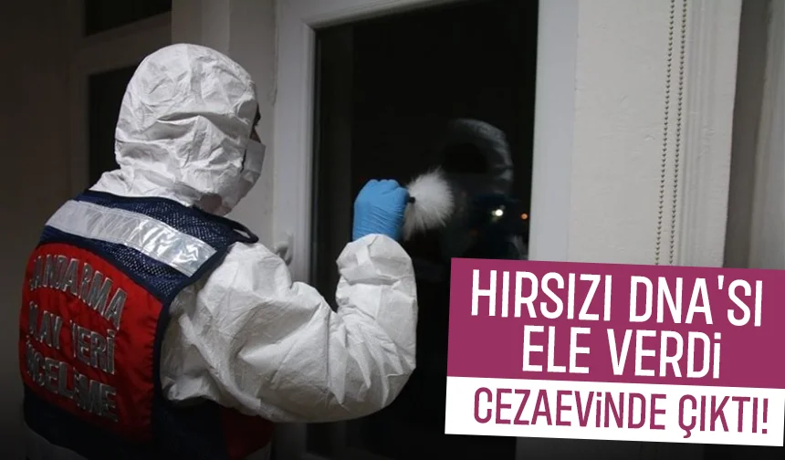 Azılı hırsızı DNA'sı ele verdi