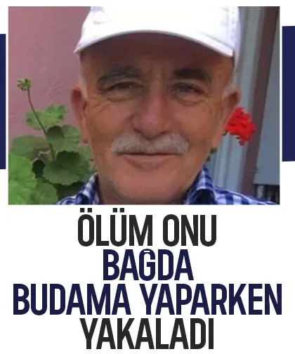 Bağda budama yaparken hayatını kaybetti