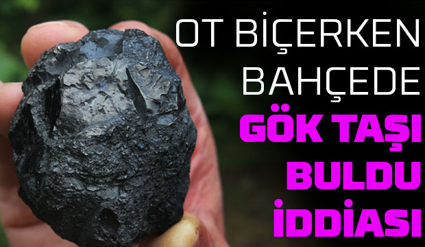 Bahçede bulduğu taş göktaşı mı?