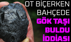 Bahçede bulduğu taş göktaşı mı?
