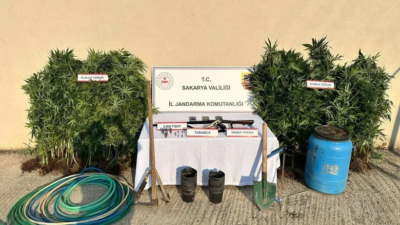 Bahçede domates değil, kenevir yetiştirmiş!
