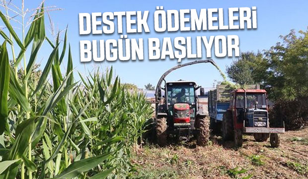 Bakan müjdeyi verdi