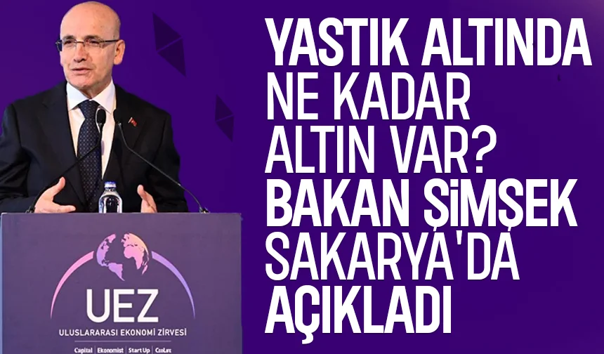 Bakan Şimşek'ten Sakarya'da yastık altındaki altın miktarını açıkladı