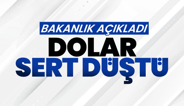 Bakanlık açıkladı dolarda sert düşüş