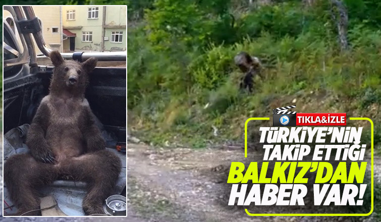 Bakanlık paylaştı! Balkız yeniden ortaya çıktı