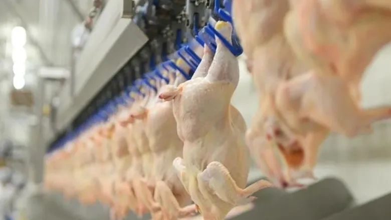 Bakanlık tavuk ihracatını durdurdu