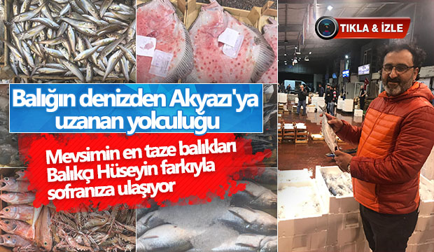 Balığın denizden Akyazı'ya uzanan yolculuğu