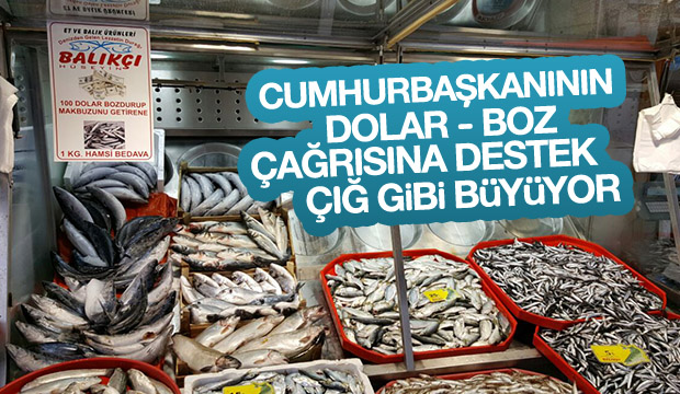 BALIKÇI HÜSEYİNDEN CUMHURBAŞKANININ BOZ DOLARI ÇAĞRISINA DESTEK