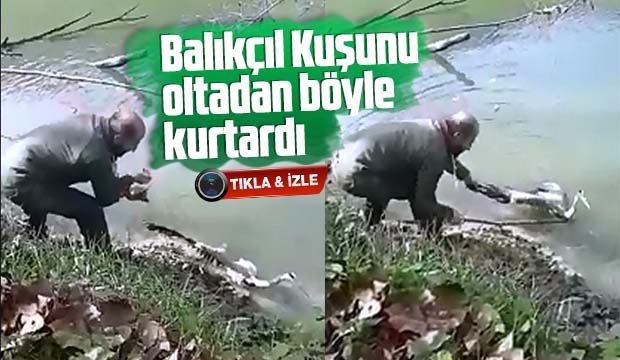 Balıkçı Kuşunu oltadan böyle kurtardı