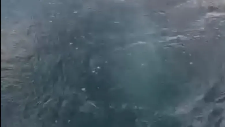 Balıkçılar kayda aldı; Sapanca Gölü’nde gizemli fokurdama